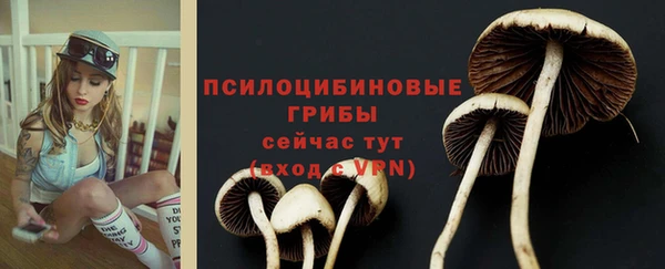 герыч Ельня