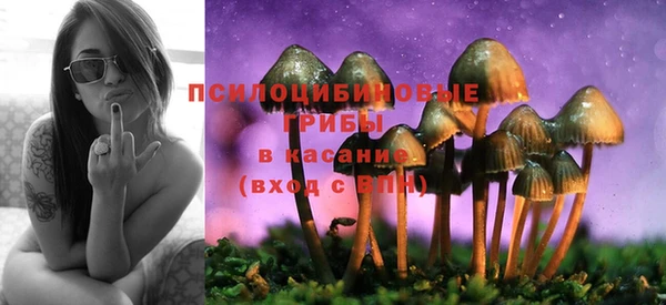 герыч Ельня