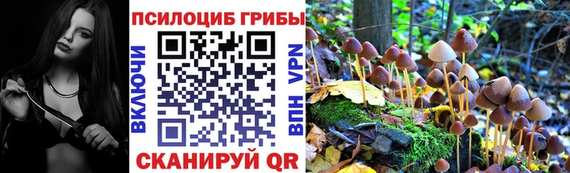 Псилоцибиновые грибы GOLDEN TEACHER  Туймазы 